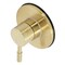 Kingston Brass KS3037DL Single-Handle Three-Way Diverter Valve with Trim Kit, Brushed Brass KS3037DL - alternate 1